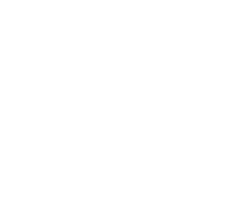 SummerSalt_Logo