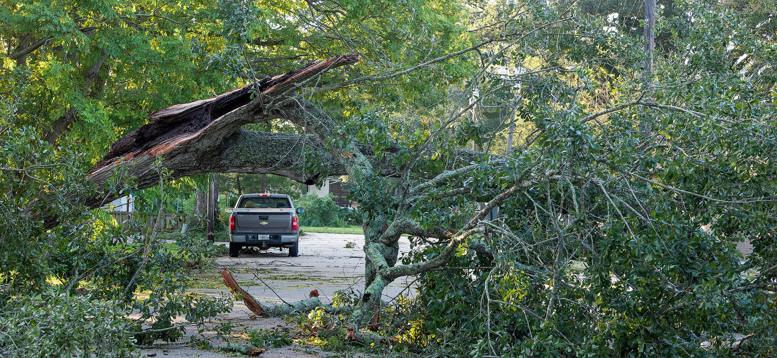 DR ALERT: Hurricanes Delta & Sally Call-Out