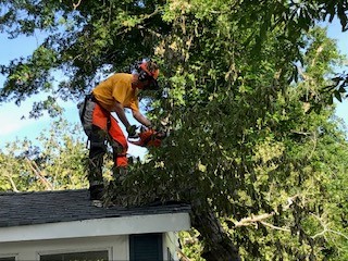 Kershaw Chainsaw Unit Serves after Local Storm