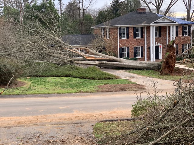 Disaster Relief Update: Spartanburg Tornado Response