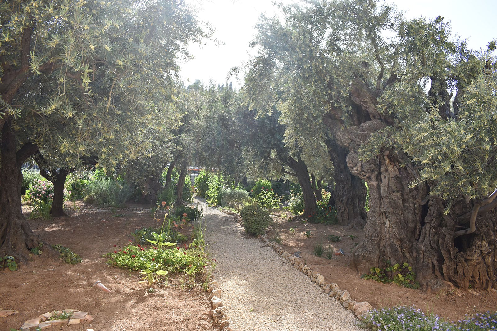 Israel2024_7 Israel2024_7