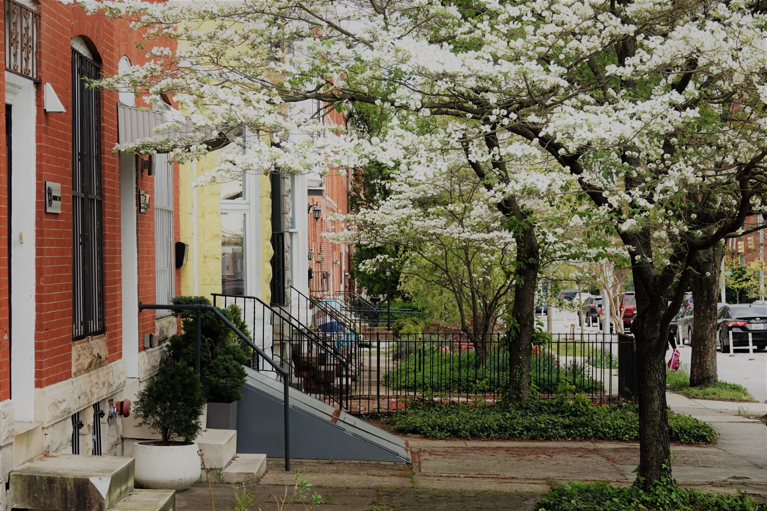 Baltimore Mission Trips- Send Relief