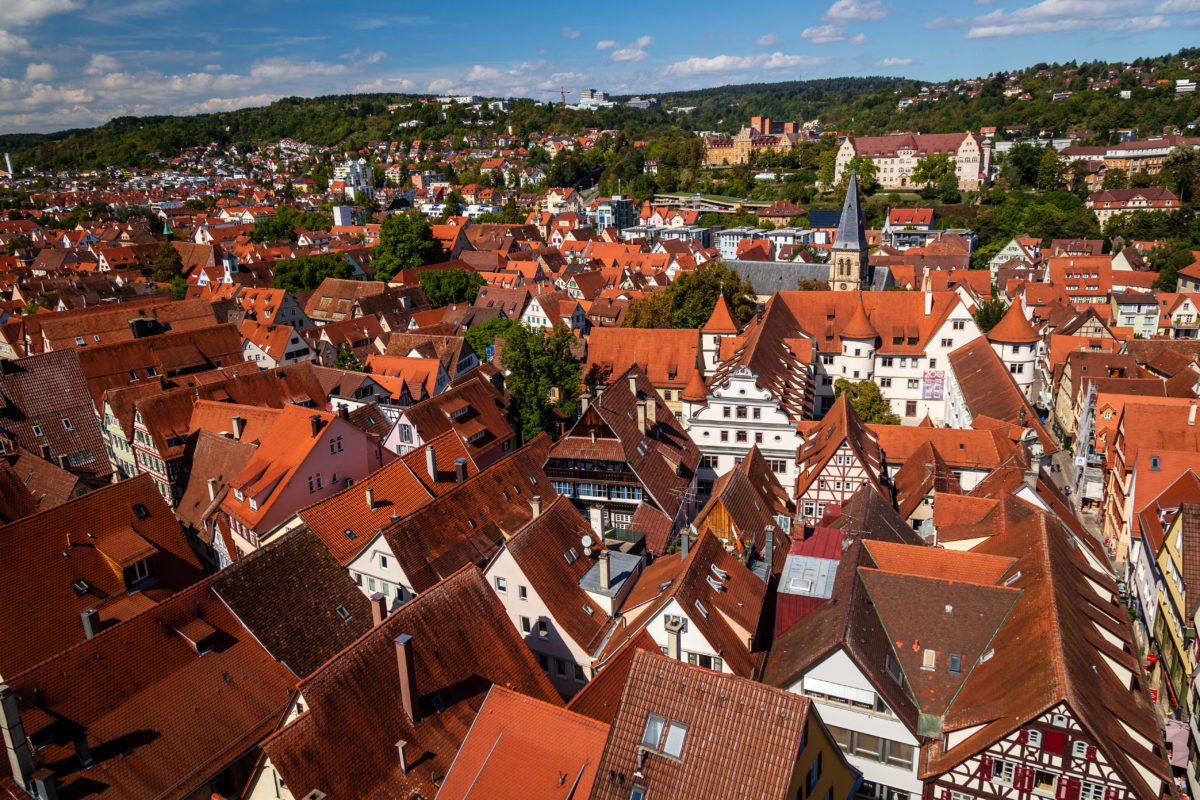 SC Connect Project- Go Impact Germany