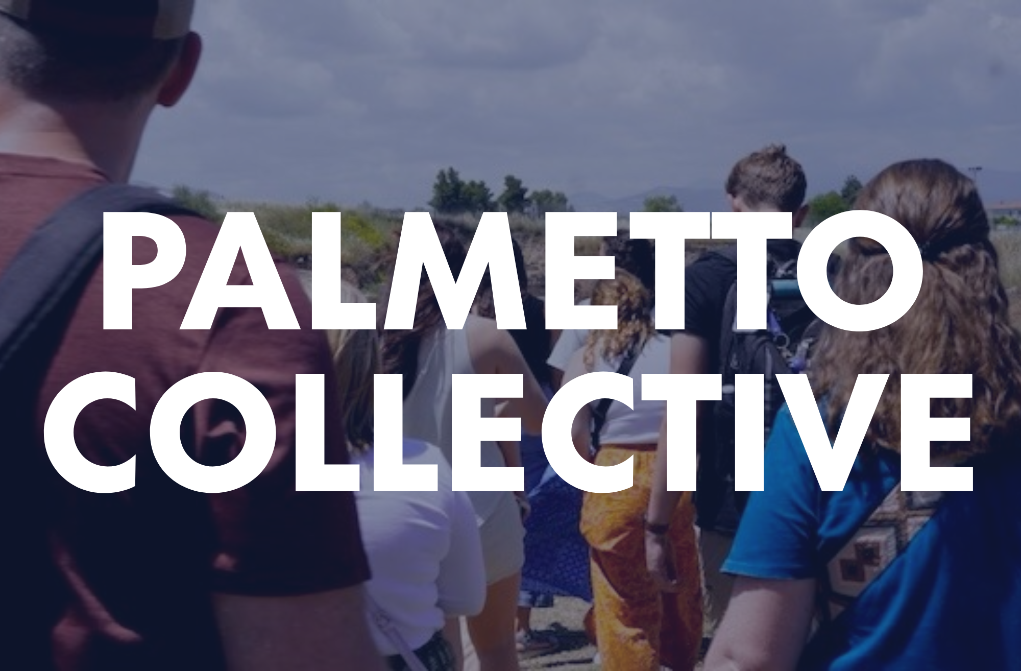 PALMETTO COLLECTIVE WEBSITE GRAPHIC